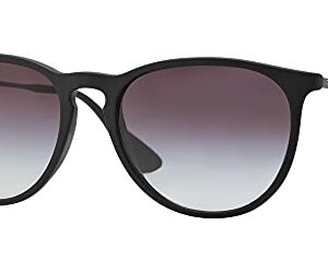 Ray-Ban RB4171 Erika Sunglasses + Vision Group Accessories Bundle for womens (Rubber Black/Light Grey Gradient Dark Grey (622/8G)