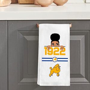 Generic MEIKIUP Sigma Gamma Rho Sorority Inspired Gift 1922 Paraphernalia Kitchen Towel SGRho Dish for Woman Housewarming (1922 Towel)