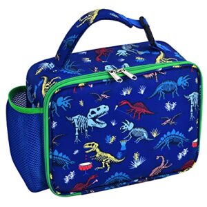 fossils dinosaur lunch box - insulated kids lunch box for boys lunch bag school preschool kindergarten elementary picnic lunch tote bag waterproof reusable lunchbox with handle and pocket