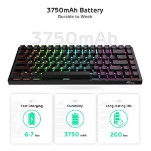 RK ROYAL KLUDGE RK84 Wireless RGB 75% Triple Mode BT5.0/2.4G/USB-C Hot Swappable Mechanical Keyboard, 84 Keys Bluetooth Gaming Keyboard w/High-Capacity Battery, Quiet Red Switch