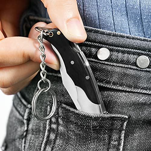 EZKIT Small Pocket Knife, EDC Pocket Knife, D2 Stainless Steel and Wood Handle, Small Knife, Blade Length 2in