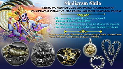 Sudarshan Shaligram | Nepal Gandaki River Chakra Saligram (2.5 cm) Orignal Sudarshan Chakra shaligram