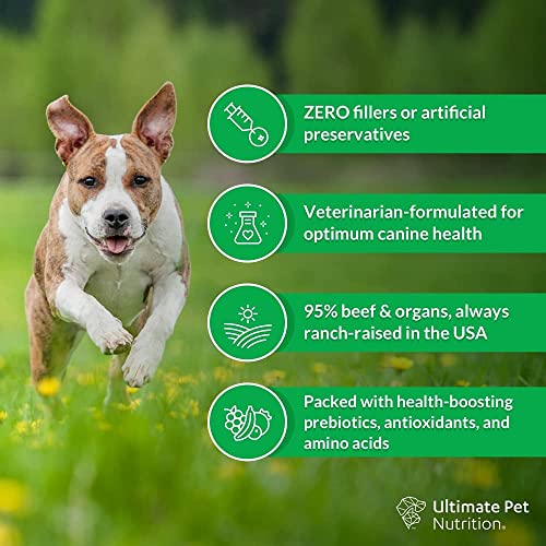 ULTIMATE PET NUTRITION Nutra Complete, 100% Freeze Dried Veterinarian Formulated Raw Dog Food with Antioxidants Prebiotics and Amino Acids, (Beef, 16 Ounce)