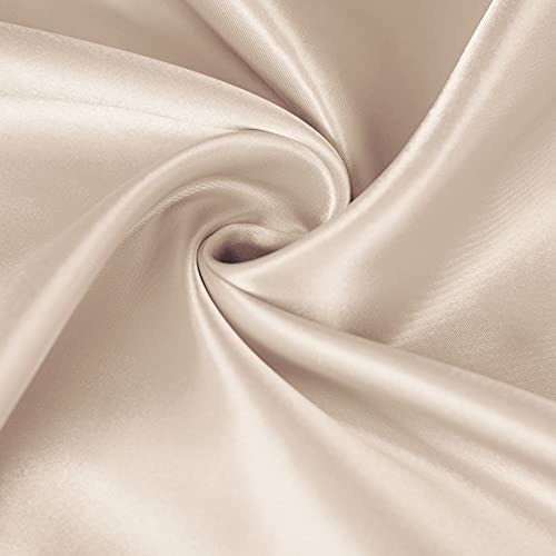 Fatapaese Satin Pillow Covers, 20x30 inches Champagne Soft Satin Pillowcases for Hair and Skin, Silky Satin Pillowcase Set of 2 with Envelope Closure