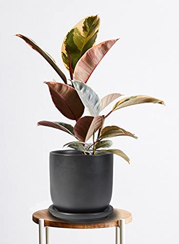 Serene Spaces Living Large Classy Matte Black Ceramic Pot with Drainage Holes and Saucer for Plants and Flowers, Decorative Outdoor/Indoor Planters, Measures 6" Diameter & 5.75" Tall