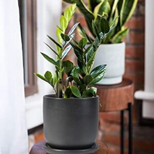 Serene Spaces Living Large Classy Matte Black Ceramic Pot with Drainage Holes and Saucer for Plants and Flowers, Decorative Outdoor/Indoor Planters, Measures 6" Diameter & 5.75" Tall