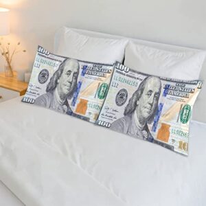 Satin Pillowcase for Hair and Skin Money 100 Dollar Bill Silk Pillowcase Soft Satin Cooling Pillow Covers No Zipper with Envelope Closure Standard Size 20 × 26inch 1 Pcs