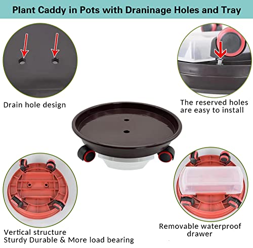 GROW-GREEN 2-Pack Wheel Caddy Tray Plant Pots Stand 30cm with Moving Wheels (Coffee)