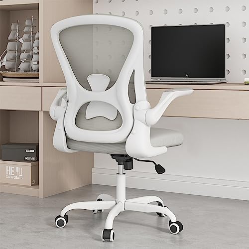 Sytas Home Office Chair Ergonomic, Mesh Desk Chair Lumbar Support, Ergonomic Computer Chair Adjustable Armrest (Gray)