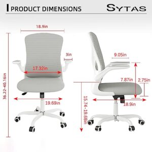 Sytas Home Office Chair Ergonomic, Mesh Desk Chair Lumbar Support, Ergonomic Computer Chair Adjustable Armrest (Gray)