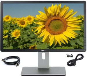 dell p2214hb full hd 22 inch led backlit monitor, vga, display port, dvi, 16.7 million colors, 178 degree viewing angle, upto 76/60 hz horizontal and vertical refresh rate (renewed)