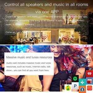 M5 AudioCast HiFi Music Receiver Airplay DLNA i OS & Android Airmusic 2.4G WiFi Audio Speaker Wireless Sound Streamer Multi Room Supported