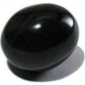om shri om shaligram stone black pure and original for pooja