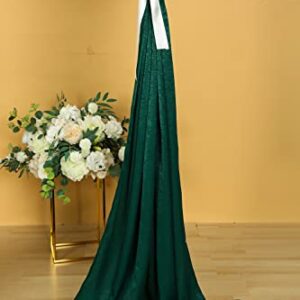 Cytdkve 2 Panels 4.8 Feet x 10 Feet Hunter Green Velvet-Like Wedding Backdrop Curtain Drapes, Silky Soft Window Curtains Panels for Wedding Ceremony Birthday Party Decorations