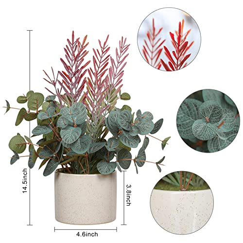 ANGELLOONG Artificial Eucalyptus Plants for Home Decor Indoor, Faux Eucalyptus with Fake Leaves, Potted Silver Dollar Eucalyptus for Home Decor Indoor - 4.6" x 14.5"