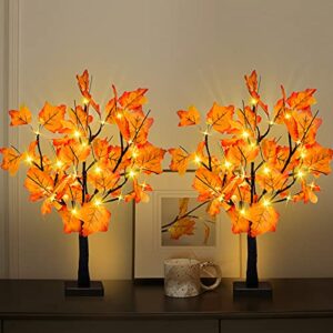 2 Pack 24-inch Fall Lighted Maple Tree, 48 LED Lights, Thanksgiving Decoration Table Tree, Battery Operated DIY Artificial Tree, Centerpieces Decor Tree for Home Desktop Autumn Harvest Tabletop Indoor