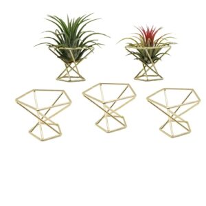 nwsrayu pack 5 piece gold air plant holder air plants holders tillandsias display air purifying plant container air fern stand geometric decor for house, wedding party