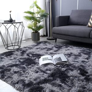 Aternoon Area Rug 5x7, Super Soft Fluffy Shaggy Rugs Floor Carpet for Living Room, Children Bedroom, Nursery Play Room, Home Decor, 5.3 x 7.5 Feet, Dark Grey