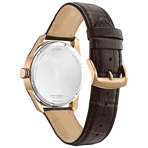 Citizen Men's Classic Eco-Drive Watch with 3-Hand Day and Date, Brown Leather Strap/ Rose Gold