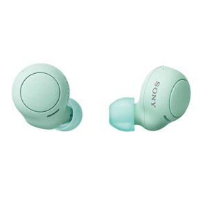 sony wf-c500 true wireless headphones - up to 20 hours battery - charging case - voice assistant compatible - built-in mic for phone calls - reliable bluetooth - mint green