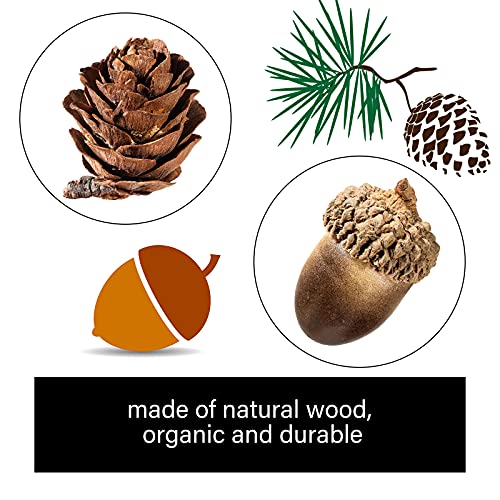 Syhood 200 Pieces Thanksgiving Natural Mini Pine Cone Artificial Acorn Pine Cone Ornament Simulation Lifelike Small Acorn with Natural Cap Fake Craft Acorn Prop for Vase Filler Autumn Winter Home