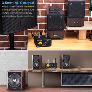 Douk Audio ST-01 200W Bluetooth Amplifier, 2 Channel Vacuum Tube Power Amp with USB DAC/Coaxial Optical Inputs/VU Meter/Treble Bass Control for Home Theater/Stereo Speakers (Upgrade Version)