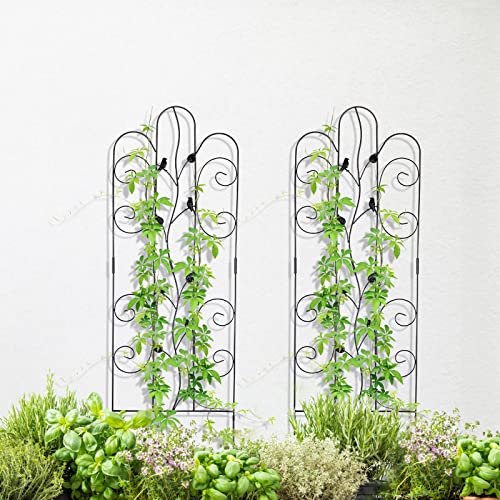 XYADX Metal Garden Trellis for Climbing Plants & Roses 61''x 18.5" Plants Support Rustproof Sturdy Leaves Garden Trellis for Vegetables Trellis for Potted Plants Pack of 2 - Black