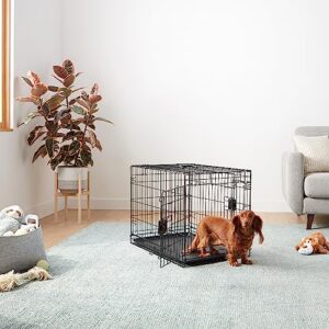 Amazon Basics Durable,Foldable Metal Wire Dog Crate with Tray, Double Door, 30 Inches, Black