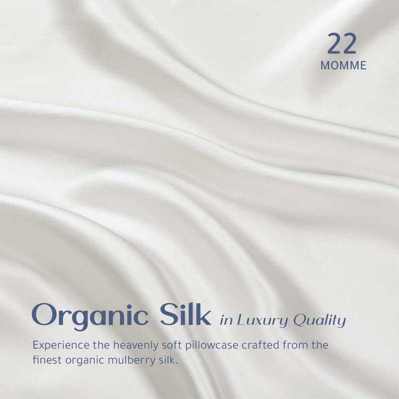 RENESSY Organic Silk Pillowcase - 100% Organic Mulberry Silk, 22 Momme, Naturally Hypoallergenic, Promotes Hair and Skin Health, 1 Piece (Queen Size 20x30 Inches, Natural Silk Off-White)