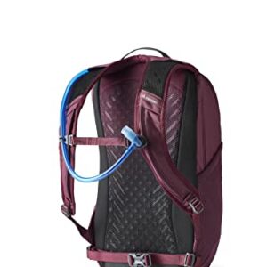 Gregory Mountain Products Swift 16 H2O Hydration Backpack, Amethyst Purple, One Size