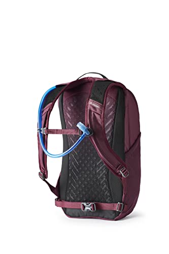Gregory Mountain Products Swift 16 H2O Hydration Backpack, Amethyst Purple, One Size