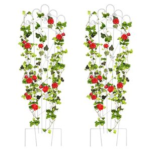 xyadx metal detachable trapezoidal garden trellis for climbing plants, 60 inches sturdy patio plant support for indoor plants trellis for rose, vegetable flower, backyard pack of 2 - white