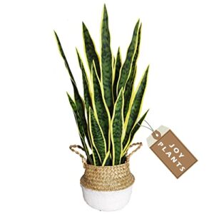 artificial snake plant, 27" fake sansevieria with basket, faux plants for indoor home office store decoration, perfect faux mother in law plants