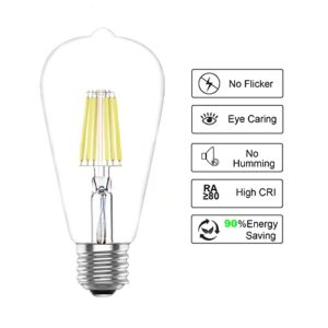 Vintage LED Light Bulbs,E26 Edison Filament,6W,60 Watts Equivalent,Daylight White 6000K,2 Packs