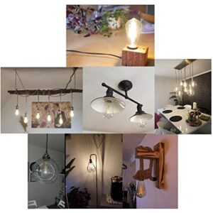 Vintage LED Light Bulbs,E26 Edison Filament,6W,60 Watts Equivalent,Daylight White 6000K,2 Packs