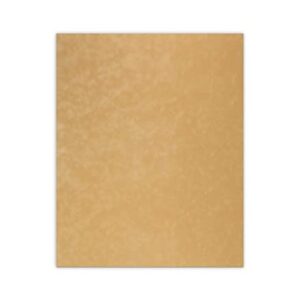 CountryArtHouse Thicket Suede Acid Free 8x10 Backing Board - Uncut Photo Mat Board - 1 Sheet