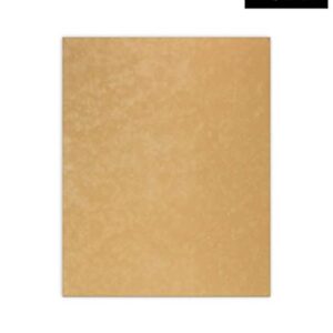 CountryArtHouse Thicket Suede Acid Free 8x10 Backing Board - Uncut Photo Mat Board - 1 Sheet