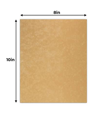 CountryArtHouse Thicket Suede Acid Free 8x10 Backing Board - Uncut Photo Mat Board - 1 Sheet