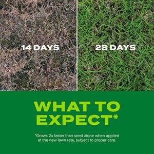 Scotts Turf Builder Rapid Grass Bermudagrass, Combination Seed and Fertilizer, Grows Green Grass Fast, 8 lbs.