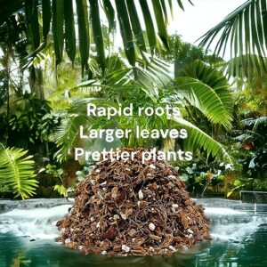 Noot Potting Soil Mix for Indoor & House Plants – 1 Gallon – Orchid, Succulent, Cactus, Aroid, Houseplant, Monstera – Bio-Organic – Fast Draining – Rapid Root Growth – Pre-Soaked & Ready to Use