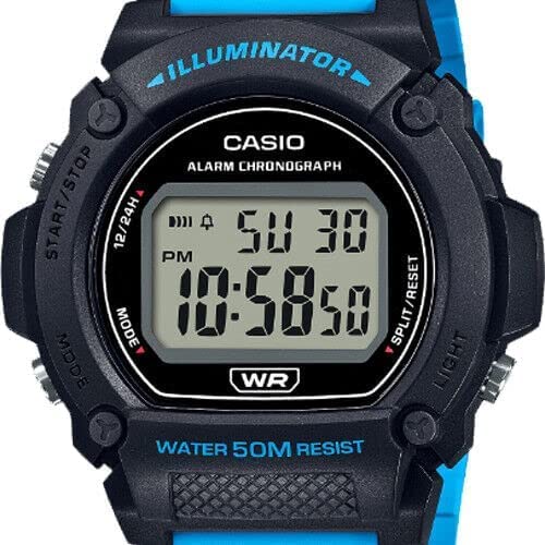 Casio W219H-2A2V Watch