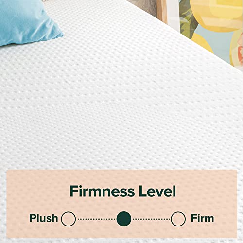 Zinus 8 Inch Green Tea Essential Memory FoamMattress/Bed-in-a-Box/AffordableMattress/CertiPUR-US Certified, Full