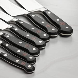 Wusthof Classic 10 Piece Knife Set with Acacia Block