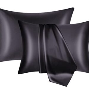 NOLRDR Mulberry Silk Pillowcase 2 Pack for Hair and Skin with Hidden Zipper,Both Sides 19 Momme Smooth and Breathable Silk Pillow Cases Set of 2 (Black, Standard 20''×26'')