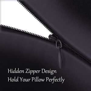 NOLRDR Mulberry Silk Pillowcase 2 Pack for Hair and Skin with Hidden Zipper,Both Sides 19 Momme Smooth and Breathable Silk Pillow Cases Set of 2 (Black, Standard 20''×26'')