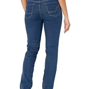 Signature by Levi Strauss & Co. Gold Women's Size Curvy Totally Shaping Straight Jeans (Available in Plus Size), (New) Jackson Square, 22 Short