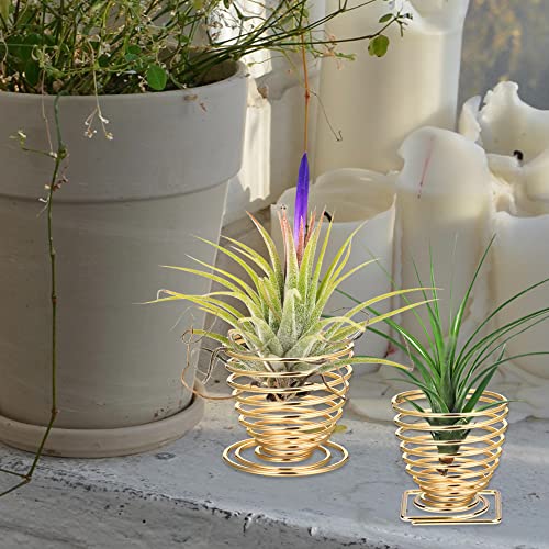 Suerry Air Plant Holder Airplant Stand, 6 Style Tillandsia Container Stainless Steel Air Plant Stand for Living Decor Office Gift Idea(6Pcs), silver