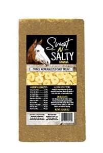 kalmbach feeds sweet n salty banana flavored salt treat brick for horses, 4 lb