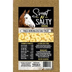 Kalmbach Feeds Sweet N Salty Banana Flavored Salt Treat Brick for Horses, 4 lb