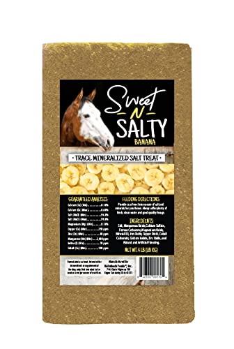 Kalmbach Feeds Sweet N Salty Banana Flavored Salt Treat Brick for Horses, 4 lb